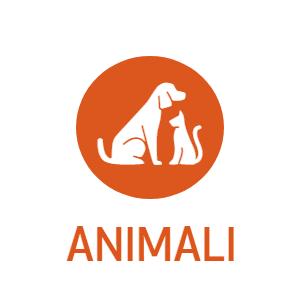 Servizi Assicurativi Italiani per Animali Servizi Assicurativi Italiani per Animali