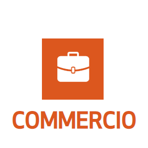 Servizi Assicurativi Italiani per Commercio Servizi Assicurativi Italiani per Commercio